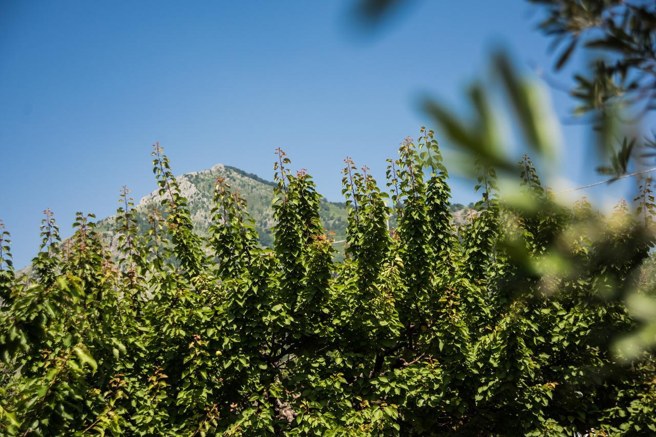 Casa Vacanza Dal Cavaliere Montesarchio Dış mekan fotoğraf